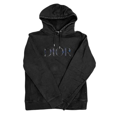 dior peter doig hoodie